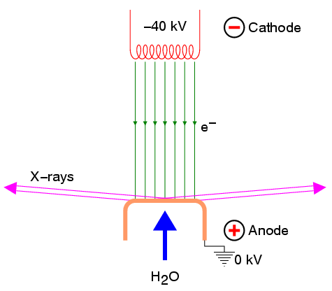 x rays diagram