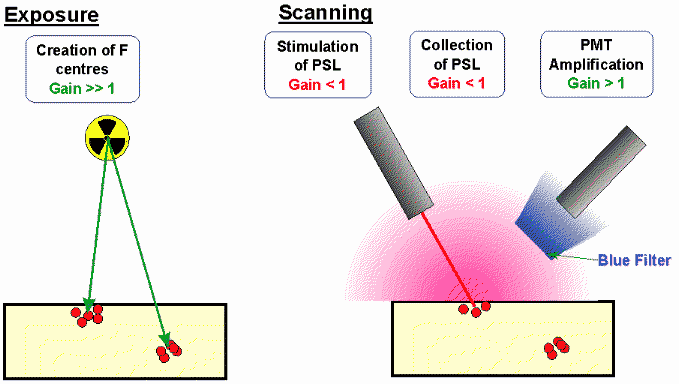 Image Plate System