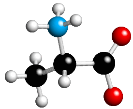 CH3CH(NH3)CO2