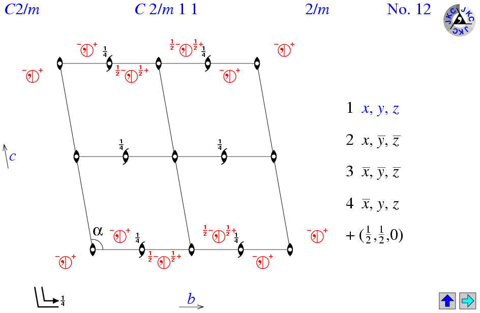 C2/m11